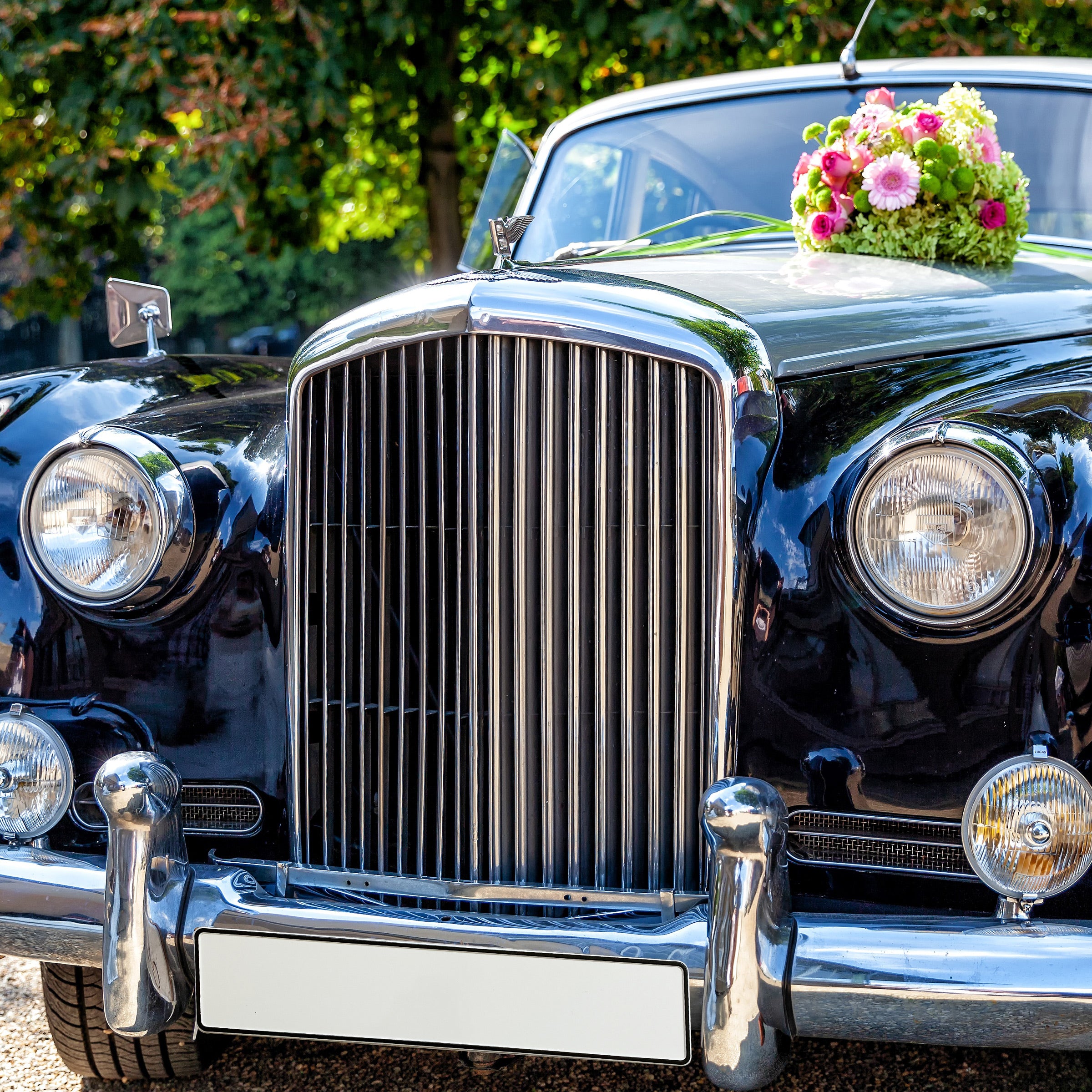 KFZ-Kennzeichen Set Blanko neutral ohne Aufdruck - MADYES - Hochzeitsdeko Manufaktur