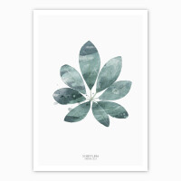 Set von 4 botanischen Kunstdrucken moderne Blätter Kunstdrucke A4 (21 x 29,7 cm)
