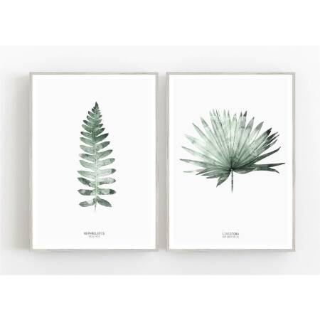 Set von 2 botanischen Kunstdrucken Farnblatt zusammen mit Palmenblatt. Kunstdrucke A5 (14,8 x 21 cm)