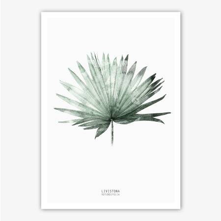Set von 2 botanischen Kunstdrucken Farnblatt zusammen mit Palmenblatt. Kunstdrucke 40 x 50 cm