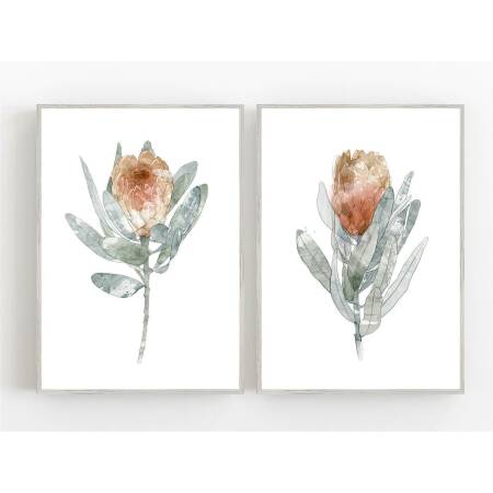 Set von 2 Protea Blüten Kunstdrucken botanische Kunstdrucke orange Blumen Wandkunst A2 (42 x 59,4 cm)