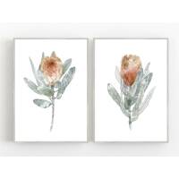Set von 2 Protea Blüten Kunstdrucken botanische Kunstdrucke orange Blumen Wandkunst 40 x 50 cm