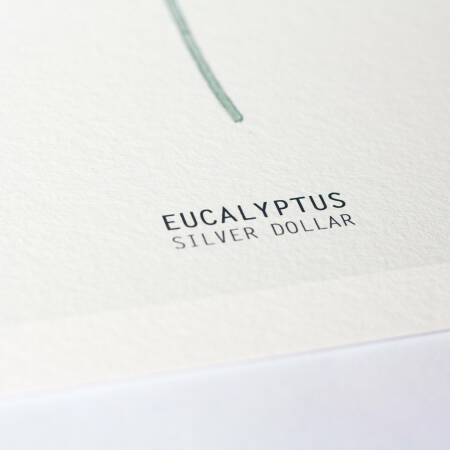 Set von 3 botanischen Kunstdrucken moderne Blätter Eukalyptus und Gingko Drucke A2 (42 x 59,4 cm)