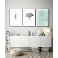 Set von 3 botanischen Kunstdrucken moderne Blätter Eukalyptus und Gingko Drucke 30 x 40 cm