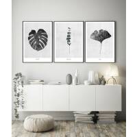 Set von 3 botanischen schwarz-weissen Kunstdrucken moderne Kunst Büro Wandkunst A4 (21 x 29,7 cm)