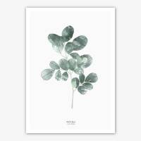 Set von 2 mintfarbenen Kunstdrucken Botanischer Moringa Blätter "Enjoy the litttle things" A5 (14,8 x 21 cm)
