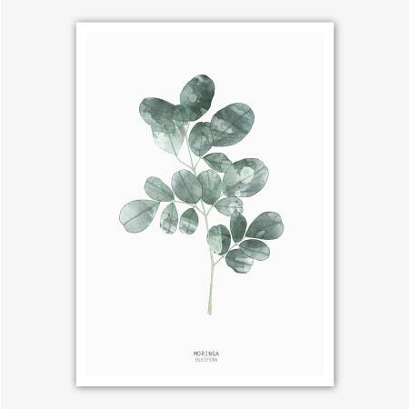 Set von 2 mintfarbenen Kunstdrucken Botanischer Moringa Blätter Enjoy the litttle things A4 (21 x 29,7 cm)