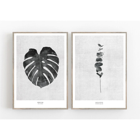 Set von 2 schwarz-weissen botanischen Kunstdrucken Schwarzer Eukalyptus 2g Monstera Blatt. 40 x 50 cm