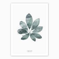 Set von 2 botanischen Kunstdrucken Schefflera Blatt und Eukalyptus Zweige Wandkunst A4 (21 x 29,7 cm)