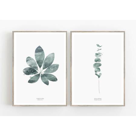 Set von 2 botanischen Kunstdrucken Schefflera Blatt und Eukalyptus Zweige Wandkunst A3 (29,7 x 42 cm)