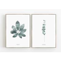 Set von 2 botanischen Kunstdrucken Schefflera Blatt und Eukalyptus Zweige Wandkunst A2 (42 x 59,4 cm)