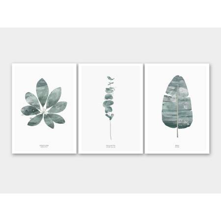 Set von 3 botanischen Kunstdrucken moderne Kunstdrucke A5 (14,8 x 21 cm)