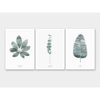 Set von 3 botanischen Kunstdrucken moderne Kunstdrucke A4 (21 x 29,7 cm)