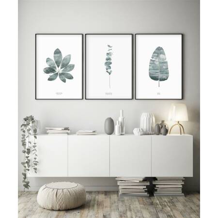 Set von 3 botanischen Kunstdrucken moderne Kunstdrucke A3 (29,7 x 42 cm)