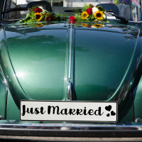 Wedding license plate with name decoration wedding car...