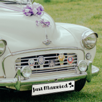 Wedding license plate with name decoration wedding car wedding license plate