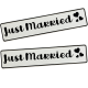 Wedding license plate license plate GROD Gheirate personalized wedding car deco