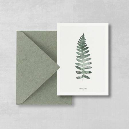Postkarte Farn botanische postkarte