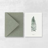 Postkarte Farn botanische postkarte