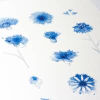 Set von 3 Kunstdrucken Aquarell Kornblumen Druck Lavedel