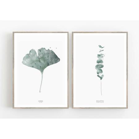 Set von 2 botanischen Kunstdrucken Gingko Biloba Blatt und Eukalyptus 2ge Wandkunst