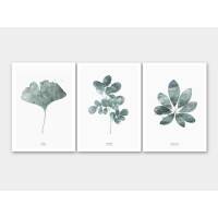Set von 6 botanischen Kunstdrucken moderne Blätter Kunstdrucke Wandkunst