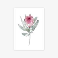 Set von 2 Protea Blüten Kunstdrucken botanische Kunstdrucke