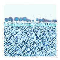 Aquarell Blaue Wiese - Kunstdruck