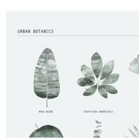 Urban Botanics Pflanzendruck Botanik Kunstdruck Tropische Blätter Illustration Poster
