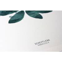 Aquarell Schefflera Arboricola Blatt Kunstdruck botanik Poster grüner Blatt Kunstdruck