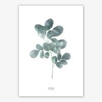 Watercolor moringa leaf print printable leaf art nordic wall art print