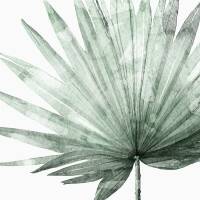 Aquarell Palmblatt druck moderner botanischer Druck moderner Druck