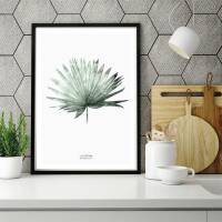 Aquarell Palmblatt druck moderner botanischer Druck moderner Druck