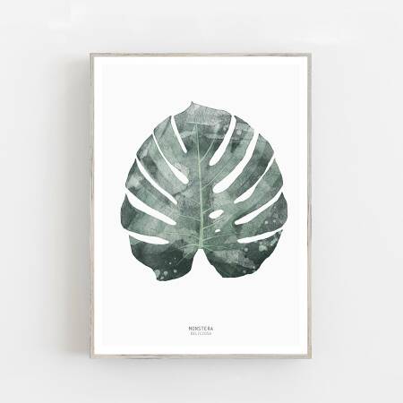 Monstera-Blatt Kunstdruck Botanischer Kunstdruck   Poster Druck