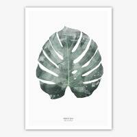 Monstera-Blatt Kunstdruck Botanischer Kunstdruck   Poster Druck