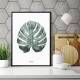 Monstera-Blatt Kunstdruck Botanischer Kunstdruck   Poster Druck