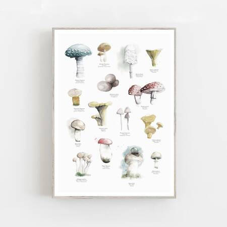 Aquarell Pilze Poster Druck Botanischer Kunstdruck Waldposter DIN A5 (14,8 x 21 cm)