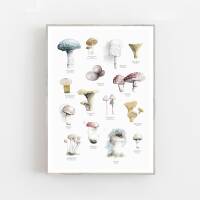 Aquarell Pilze Poster Druck Botanischer Kunstdruck...