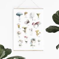 Aquarell Pilze Poster Druck Botanischer Kunstdruck Waldposter DIN A4 (21 x 29,7 cm)