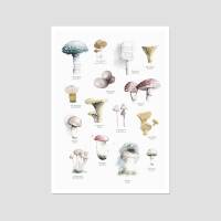 Aquarell Pilze Poster Druck Botanischer Kunstdruck Waldposter DIN A2 (42 x 59,4 cm)