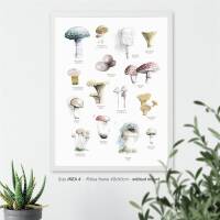 Aquarell Pilze Poster Druck Botanischer Kunstdruck Waldposter DIN A2 (42 x 59,4 cm)