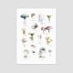 Aquarell Pilze Poster Druck Botanischer Kunstdruck Waldposter DIN A2 (42 x 59,4 cm)