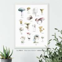 Aquarell Pilze Poster Druck Botanischer Kunstdruck Waldposter 30 x 40 cm