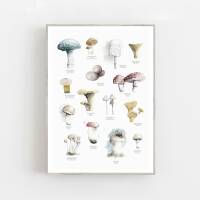 Aquarell Pilze Poster Druck Botanischer Kunstdruck Waldposter 40 x 50 cm
