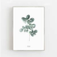 Aquarell Moringa-Blatt Kunstdruck botanische Moringa Kunstdruck Wohnzimmer Kunstdruck  Wandkunst DIN A5 (14,8 x 21 cm)