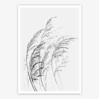 Aquarell Gräser im Wind Kunstdruck minimalistischer Kunstdruck  DIN A5 (14,8 x 21 cm)