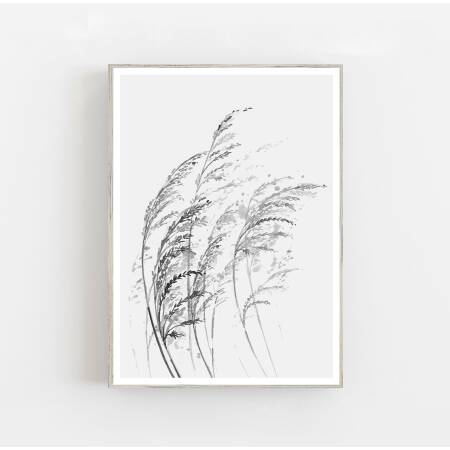 Aquarell Gräser im Wind Kunstdruck minimalistischer Kunstdruck  DIN A2 (42 x 59,4 cm)