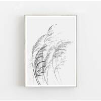 Aquarell Gräser im Wind Kunstdruck minimalistischer Kunstdruck  30 x 40 cm