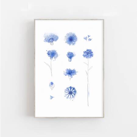 Kunstdruck Kornblumen Blaue Blumen Kunstdruck Geschenk für Mama DIN A3 (29,7 x 42 cm)