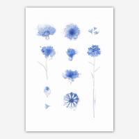 Kunstdruck Kornblumen Blaue Blumen Kunstdruck Geschenk für Mama DIN A3 (29,7 x 42 cm)